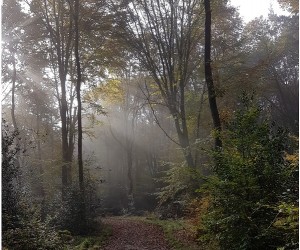nebel_lowres